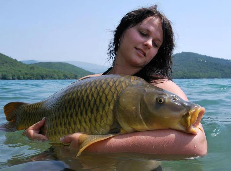 florian tanasa - 5781582892169745405731961693183n.jpg